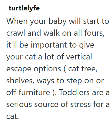 turtlelyfe When your baby will start to crawl and walk on all fours, it'll be important to give your cat a lot of vertical escape options (cat tree, shelves, ways to step on or off furniture). Toddlers are a serious source of stress for a cat.