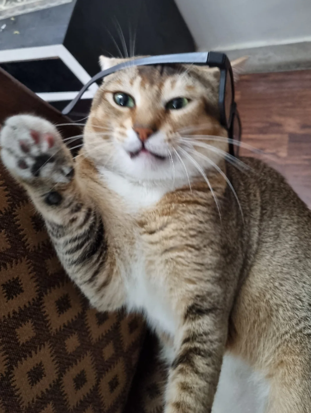 暴