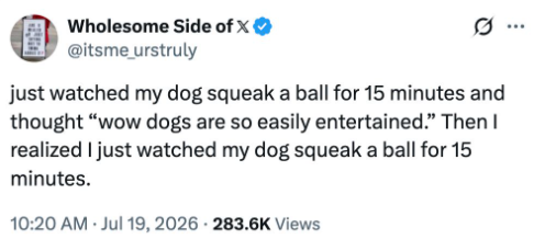 Wholesome Side of X❤ @itsme_urstruly just watched my dog squeak a ball for 15 minutes and thought "wow dogs are so easily entertained." Then I realized I just watched my dog squeak a ball for 15 minutes. 10:20 AM Jul 19, 2026 283.6K Views ...