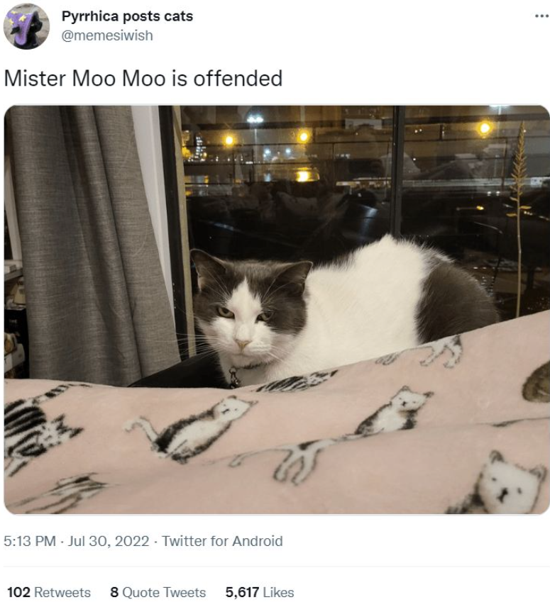Pyrrhica posts cats @memesiwish Mister Moo Moo is offended W 5:13 PM Jul 30, 2022 Twitter for Android 102 Retweets 8 Quote Tweets 5,617 Likes
