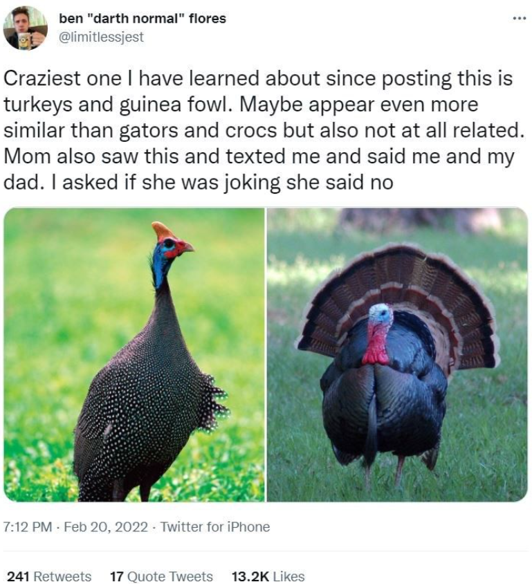 ben "darth normal" flores @limitlessjest Craziest one I have learned about since posting this is turkeys and guinea fowl. Maybe appear even more similar than gators and crocs but also not at all related. Mom also saw this and texted me and said me and my dad. I asked if she was joking she said no 7:12 PM - Feb 20, 2022 Twitter for iPhone 241 Retweets 17 Quote Tweets 13.2K Likes