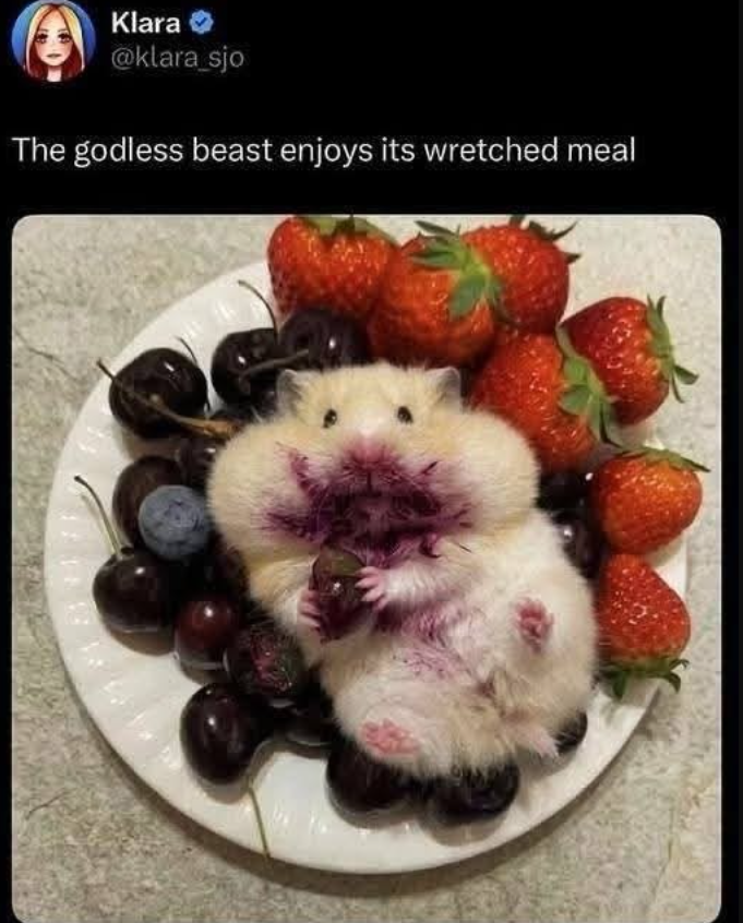 Klara @klara_sjo The godless beast enjoys its wretched meal