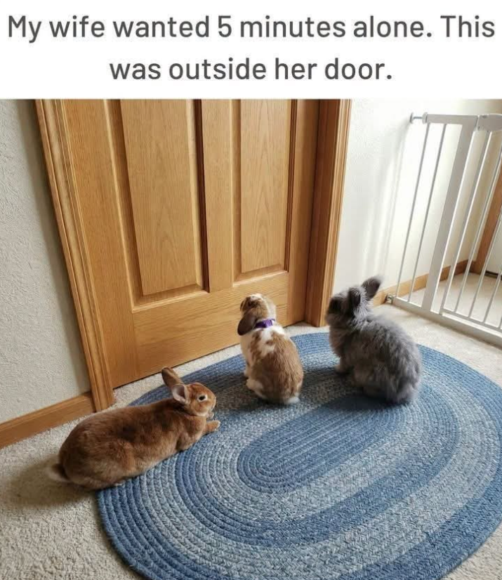 My wife wanted 5 minutes alone. This was outside her door.