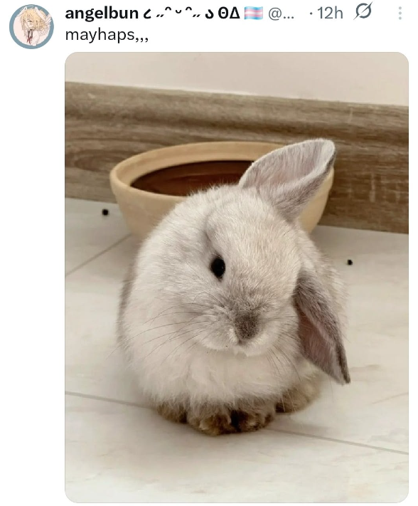 angelbun ..SO " @... @... 12h . mayhaps,,,