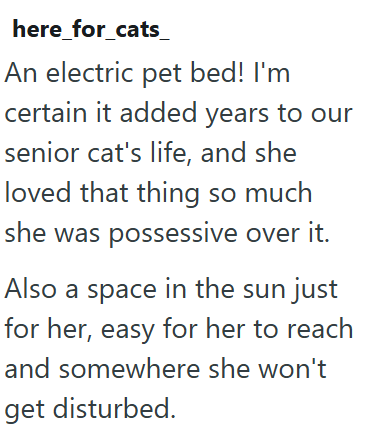 here_for_cats_ An electric pet bed! I'm certain it added years to our senior cat's life, and she loved that thing so much she was possessive over it. Also a space in the sun just for her, easy for her to reach and somewhere she won't get disturbed.