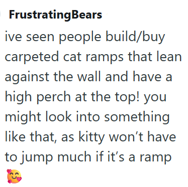 FrustratingBears ive seen people build/buy carpeted cat ramps that lean against the wall and have a high perch at the top! you might look into something like that, as kitty won't have to jump much if it's a ramp