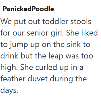 PanickedPoodle We put out toddler stools for our senior girl. She liked to jump up on the sink to drink but the leap was too high. She curled up in a feather duvet during the days.