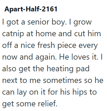 Apart-Half-2161 I got a senior boy. I grow catnip at home and cut him off a nice fresh piece every now and again. He loves it. I also get the heating pad next to me sometimes so he can lay on it for his hips to get some relief.