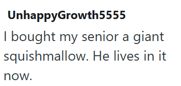 UnhappyGrowth5555 I bought my senior a giant squishmallow. He lives in it now.