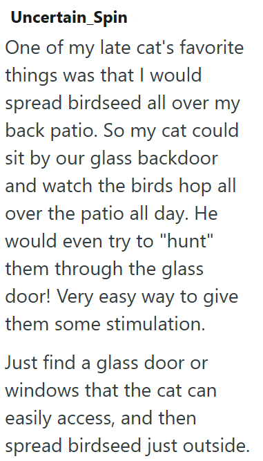 Uncertain_Spin One of my late cat's favorite things was that I would spread birdseed all over my back patio. So my cat could sit by our glass backdoor and watch the birds hop all over the patio all day. He would even try to "hunt" them through the glass door! Very easy way to give them some stimulation. Just find a glass door or windows that the cat can easily access, and then spread birdseed just outside.
