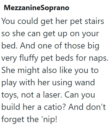 MezzanineSoprano You could get her pet stairs so she can get up on your bed. And one of those big very fluffy pet beds for naps. She might also like you to play with her using wand toys, not a laser. Can you build her a catio? And don't forget the 'nip!