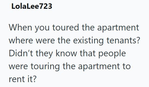 LolaLee723 When you toured the apartment where were the existing tenants? Didn't they know that people were touring the apartment to rent it?