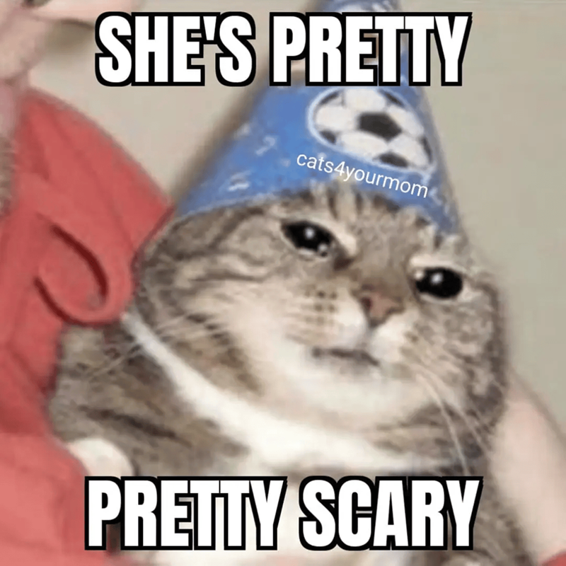 SHE'S PRETTY cats4yourmom PRETTY SCARY