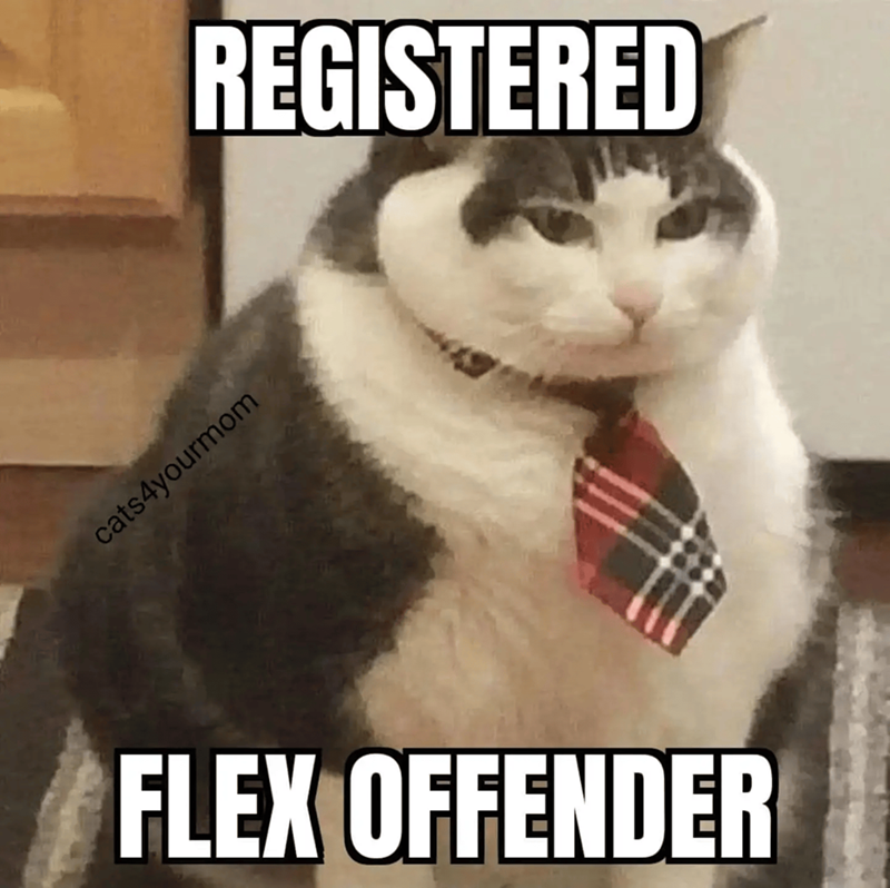 cats4yourmom REGISTERED FLEX OFFENDER