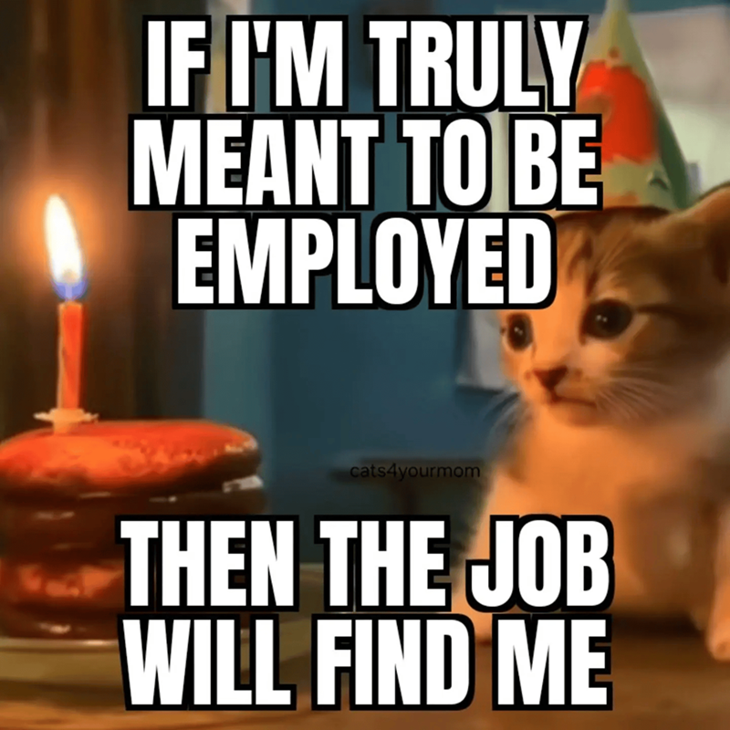 IF I'M TRULY MEANT TO BE EMPLOYED cats4yourmom THEN THE JOB WILL FIND ME