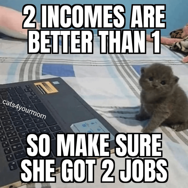 2 INCOMES ARE BETTER THAN 1 cats4yourmom SO MAKE SURE SHE GOT 2 JOBS