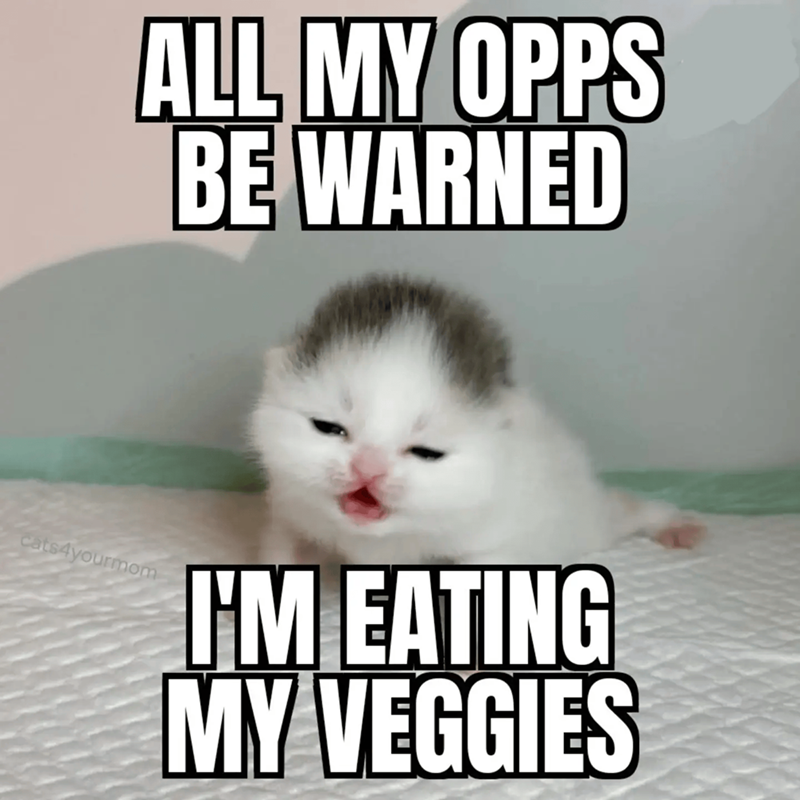 ALL MY OPPS BE WARNED cats4yourmom I'M EATING MY VEGGIES