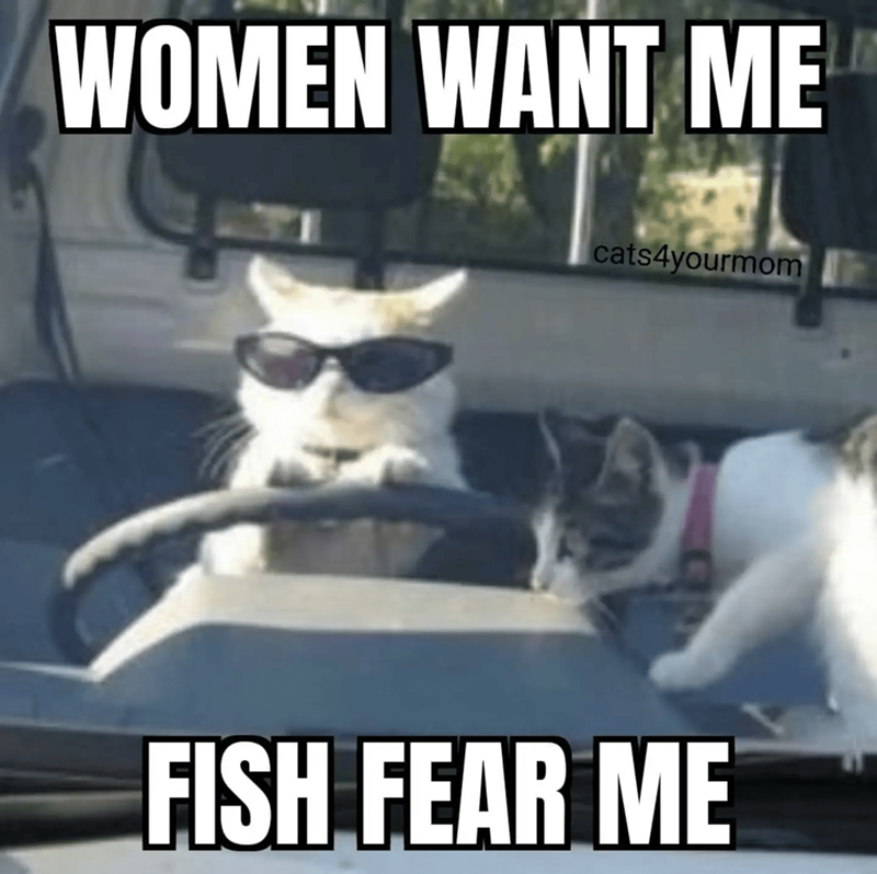 WOMEN WANT ME cats4yourmom FISH FEAR ME