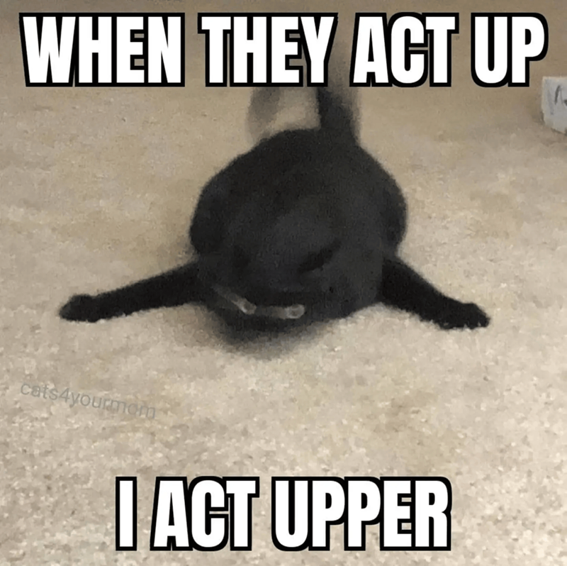 WHEN THEY ACT UP cats4yourmer I ACT UPPER