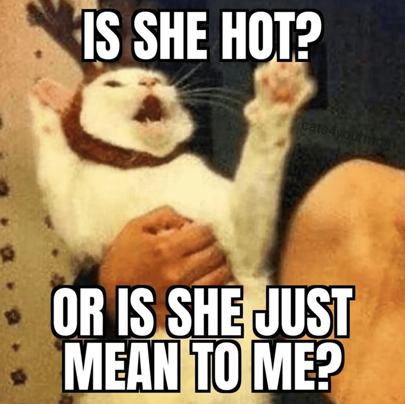 IS SHE HOT? cats4youtman OR IS SHE JUST MEAN TO ME?