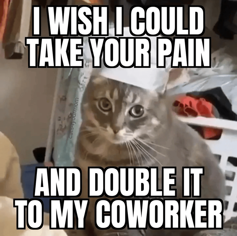 I WISH I COULD TAKE YOUR PAIN AND DOUBLE IT TO MY COWORKER