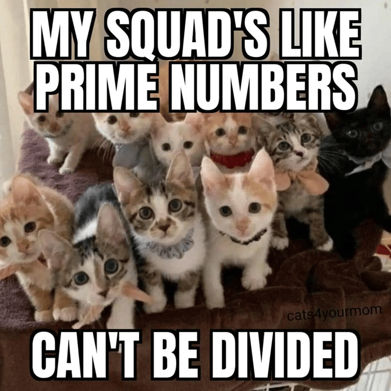 MY SQUAD'S LIKE PRIME NUMBERS cats4yourmom CAN'T BE DIVIDED
