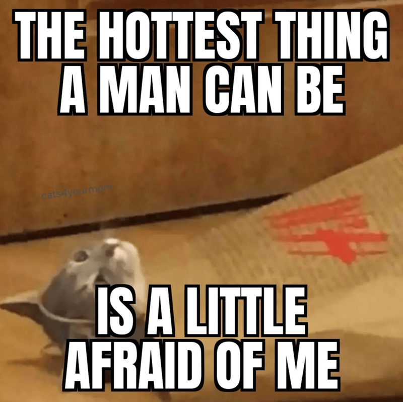 THE HOTTEST THING A MAN CAN BE cats4yourmom IS A LITTLE AFRAID OF ME