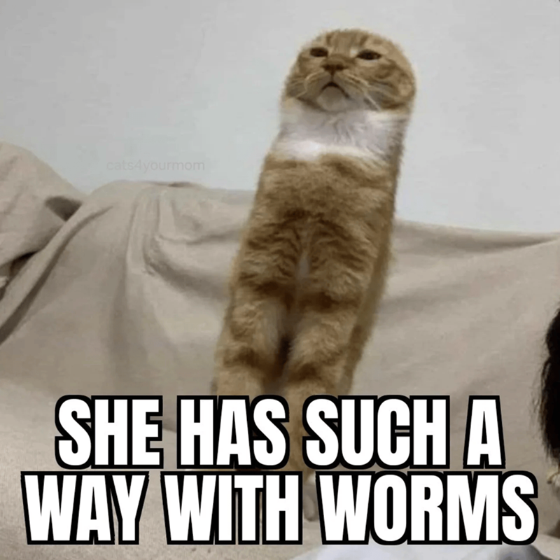 cats4yourmom SHE HAS SUCH A WAY WITH WORMS