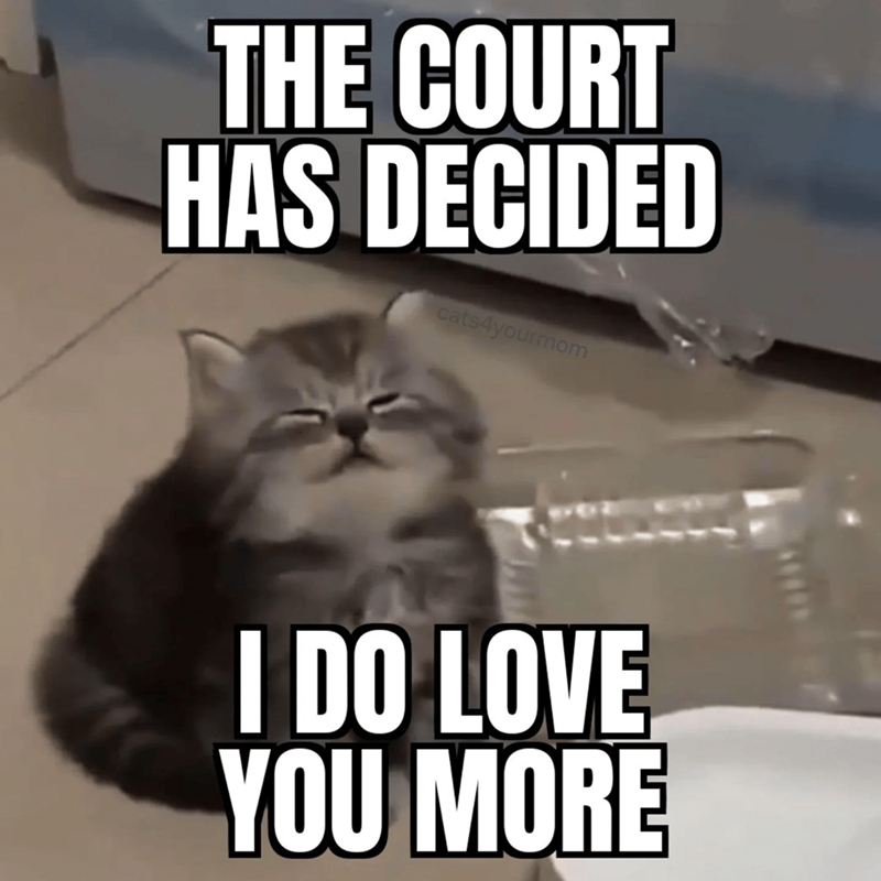 THE COURT HAS DECIDED cats4yourmom I DO LOVE YOU MORE