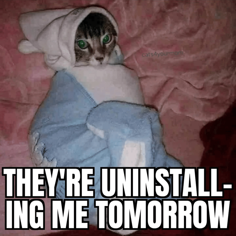 cats4yourmon THEY'RE UNINSTALL- ING ME TOMORROW