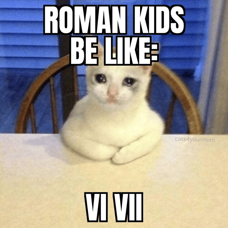 ROMAN KIDS BE LIKE: VI VII cats4yourmom