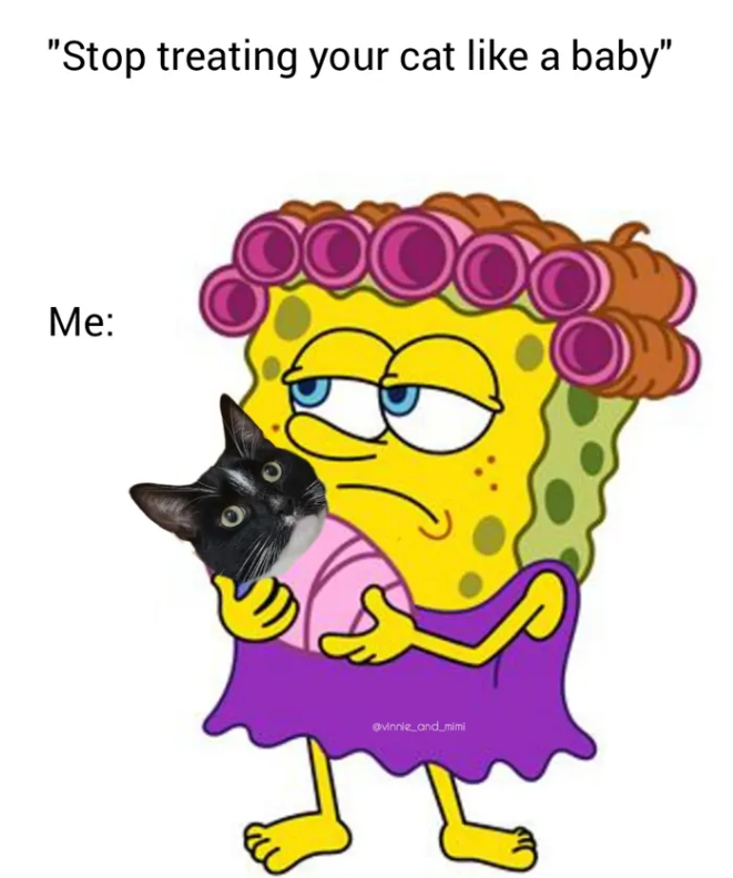 "Stop treating your cat like a baby" Me: vinnie_and_mimi