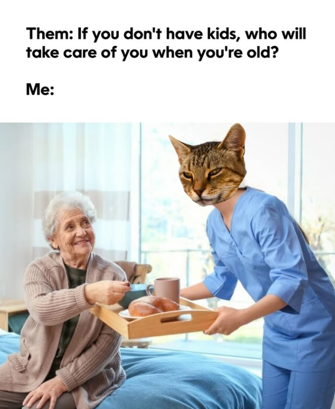 Them: If you don't have kids, who will take care of you when you're old? Me: