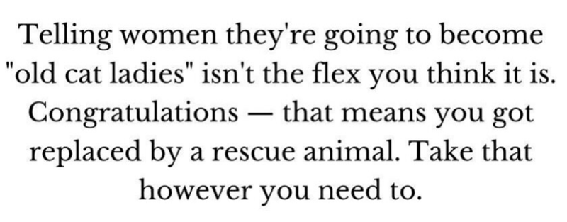 Telling women they're going to become "old cat ladies" isn't the flex you think it is. Congratulations - that means you got replaced by a rescue animal. Take that however you need to.
