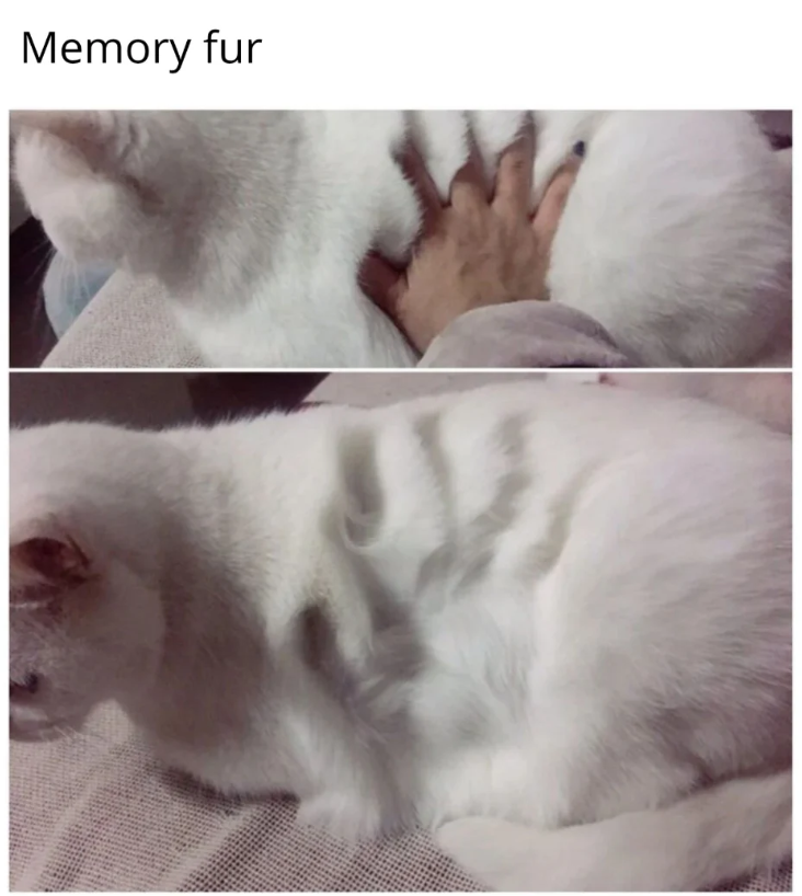 Memory fur