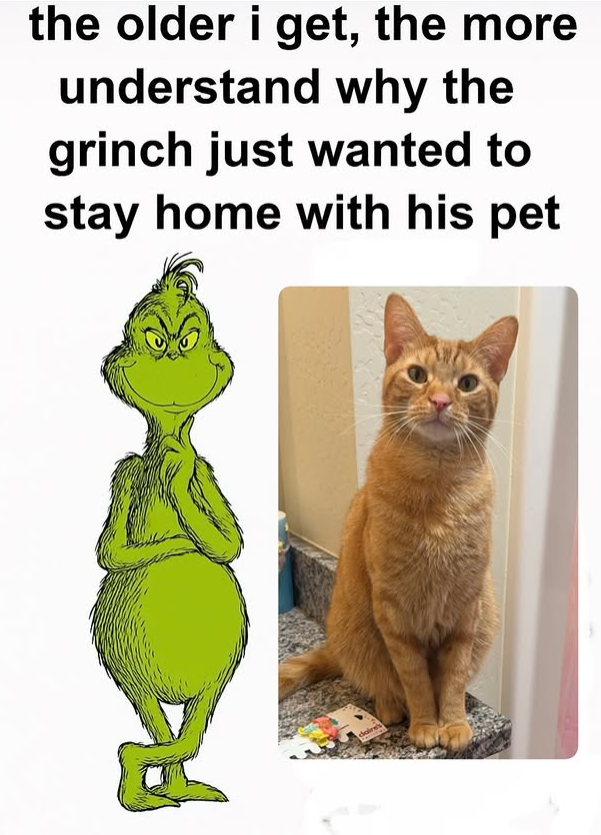 the older i get, the more understand why the grinch just wanted to stay home with his pet daire's