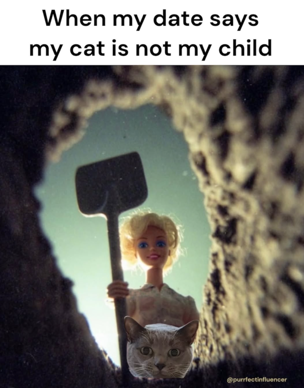 When my date says my cat is not my child @purrfectinfluencer