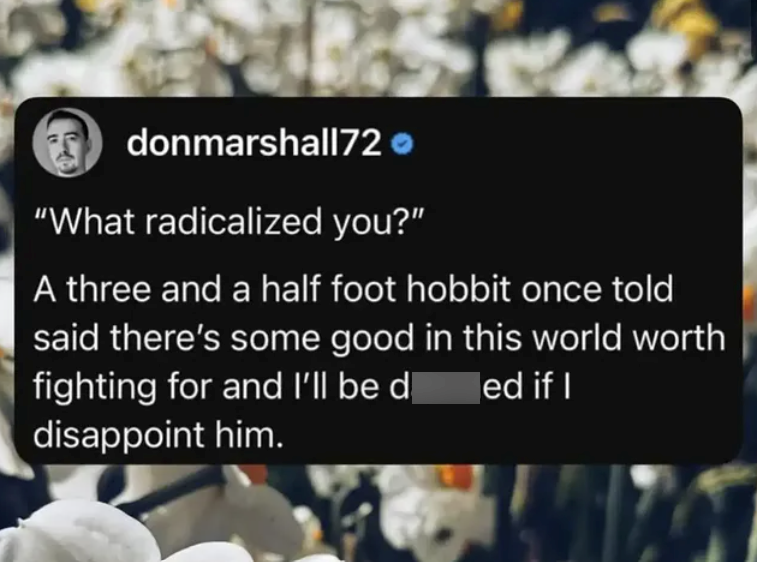 donmarshall72 "What radicalized you?" A three and a half foot hobbit once told said there's some good in this world worth fighting for and I'll be d disappoint him. ed if I