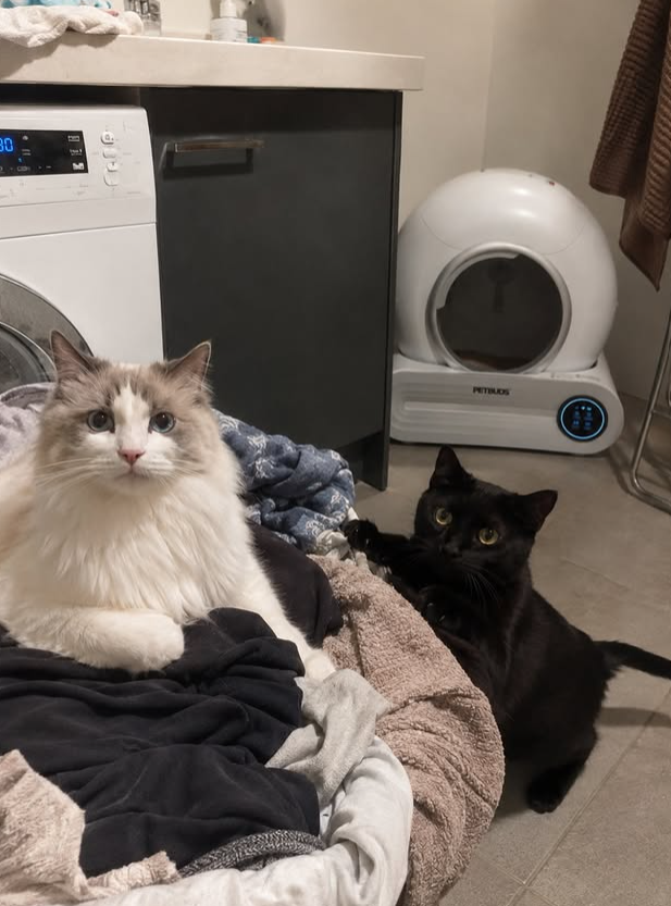 30 PETBUDS