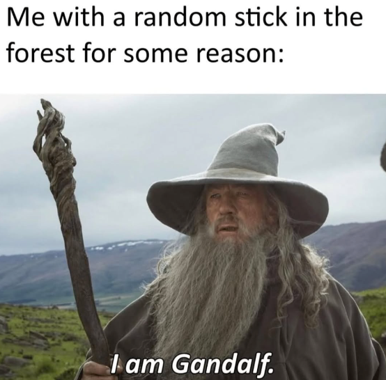 Me with a random stick in the forest for some reason: I am Gandalf.