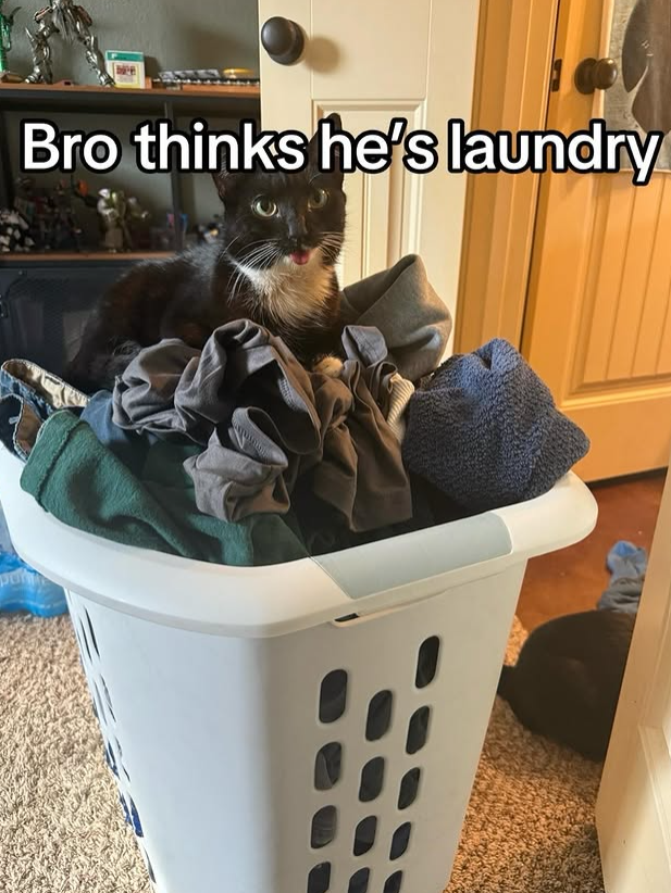 Bro thinks he's laundry
