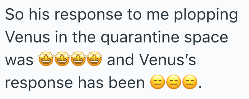 So his response to me plopping Venus in the quarantine space was and Venus's response has been ☺☺☺.