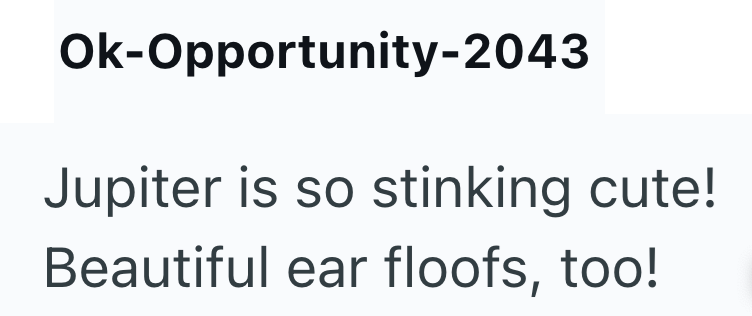 Ok-Opportunity-2043 Jupiter is so stinking cute! Beautiful ear floofs, too!