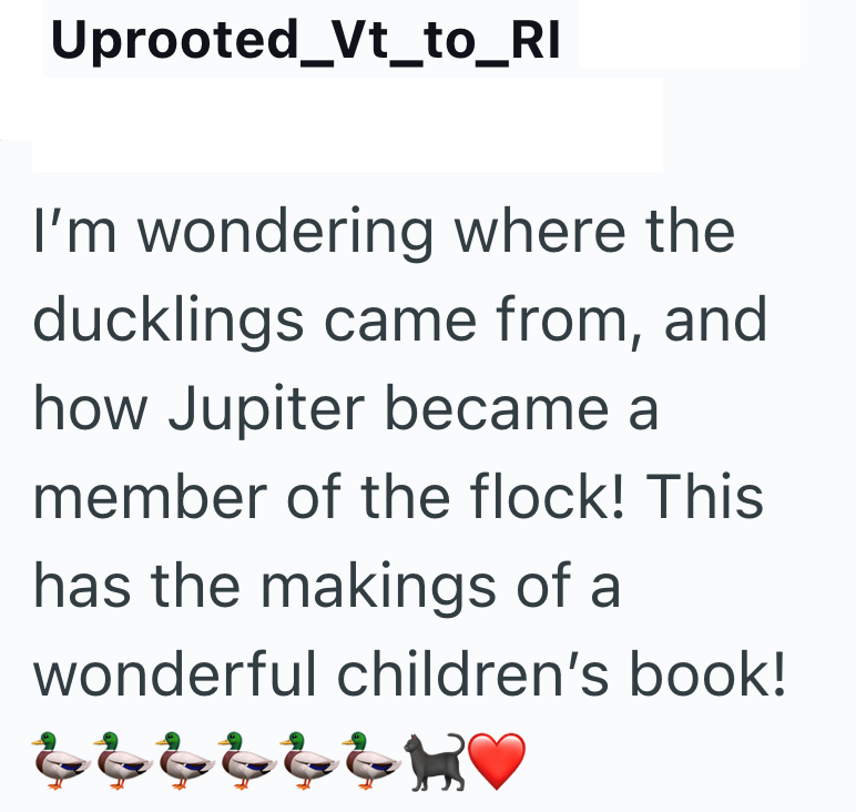 Uprooted_Vt_to_RI I'm wondering where the ducklings came from, and how Jupiter became a member of the flock! This has the makings of a wonderful children's book! 666666H♥