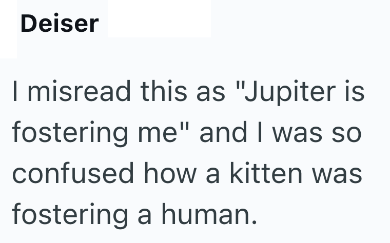 Deiser I misread this as "Jupiter is fostering me" and I was so confused how a kitten was fostering a human.