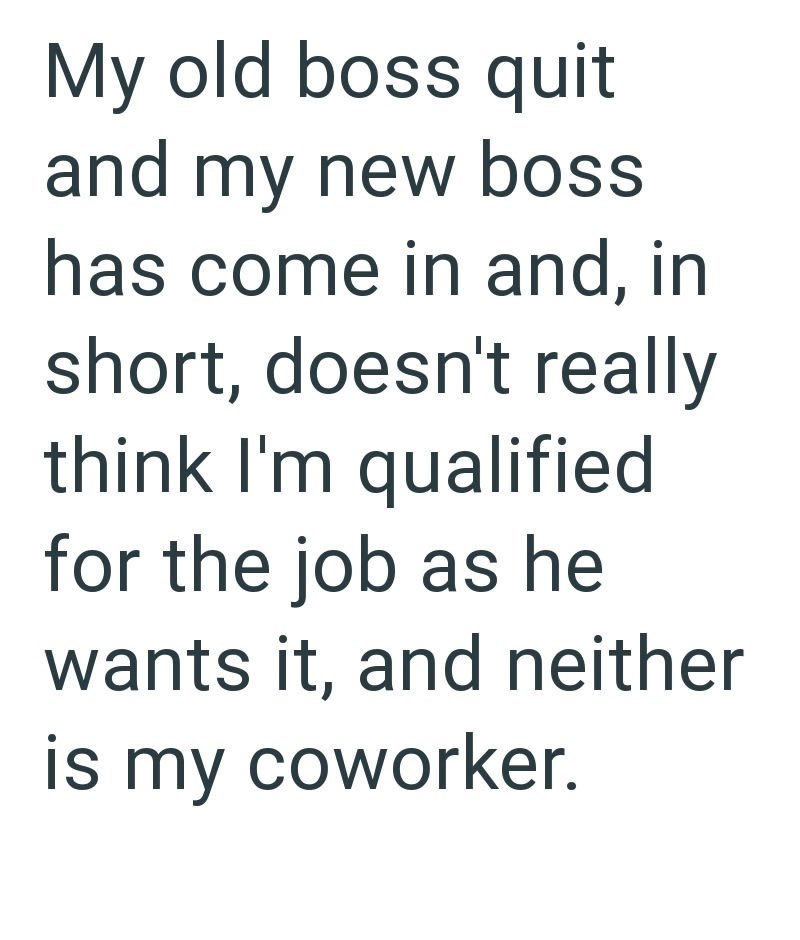 My old boss quit and my new boss has come in and, in short, doesn't really think I'm qualified for the job as he wants it, and neither is my coworker.
