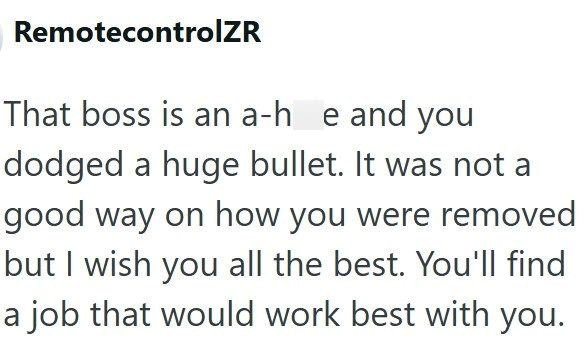 RemotecontrolZR That boss is an a-h e and you dodged a huge bullet. It was not a good way on how you were removed but I wish you all the best. You'll find a job that would work best with you.