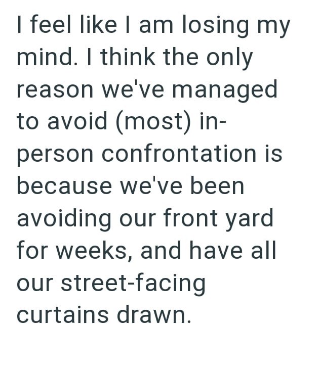 I feel like I am losing my mind. I think the only reason we've managed to avoid (most) in- person confrontation is because we've been avoiding our front yard for weeks, and have all our street-facing curtains drawn.