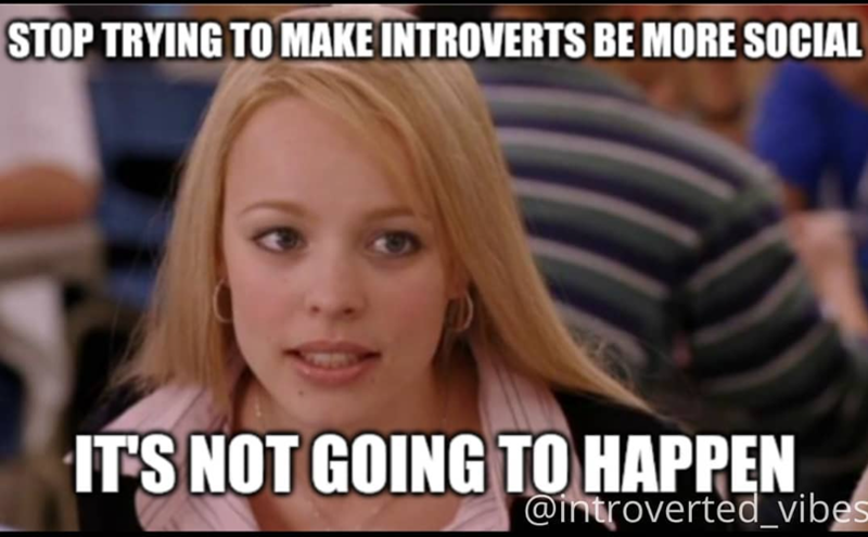 STOP TRYING TO MAKE INTROVERTS BE MORE SOCIAL IT'S NOT GOING TO HAPPEN @introverted_vibes
