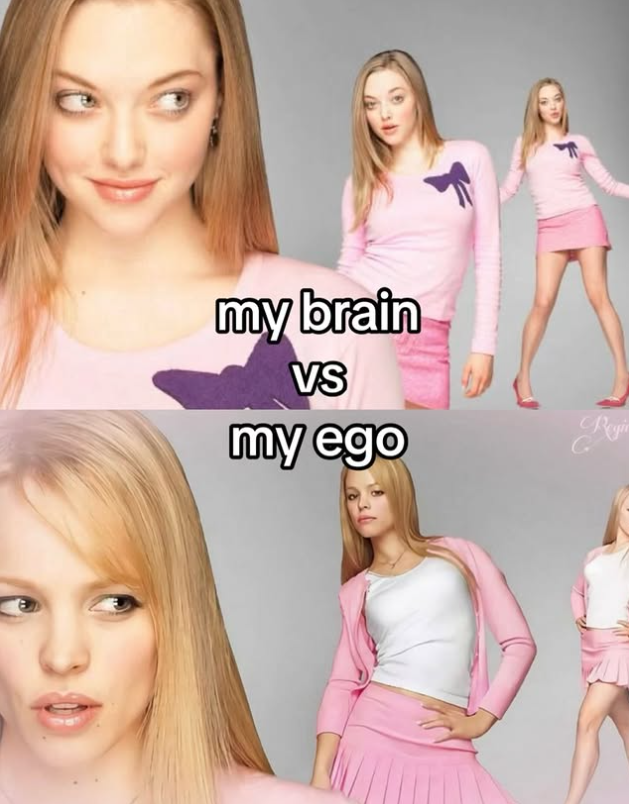my brain VS my ego Reyir